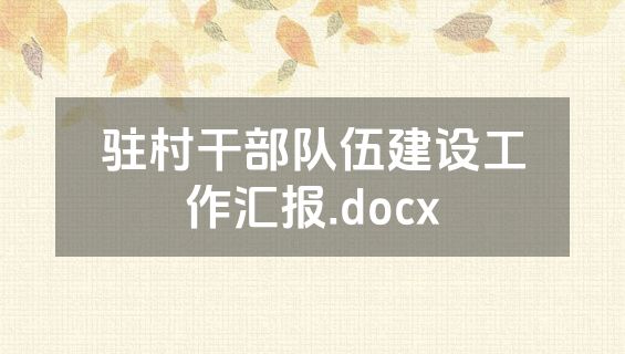 驻村干部队伍建设工作汇报.docx