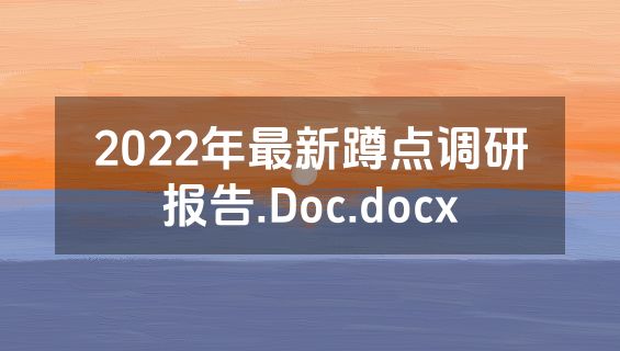 2022年最新蹲点调研报告.Doc.docx