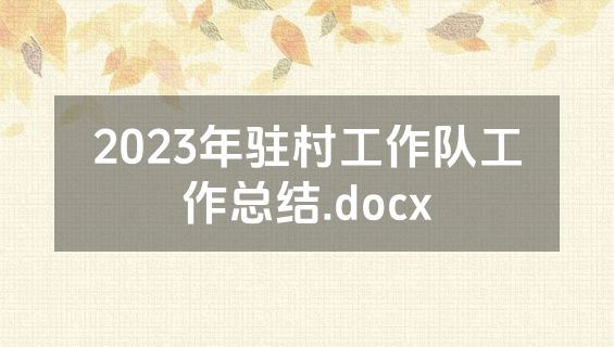 2023年驻村工作队工作总结.docx