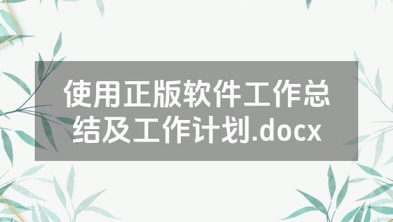 使用正版软件工作总结及工作计划.docx