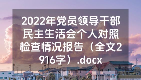 2022年党员领导干部民主生活会个人对照检查情况报告（全文2916字）.docx