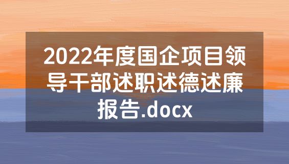 2022年度国企项目领导干部述职述德述廉报告.docx