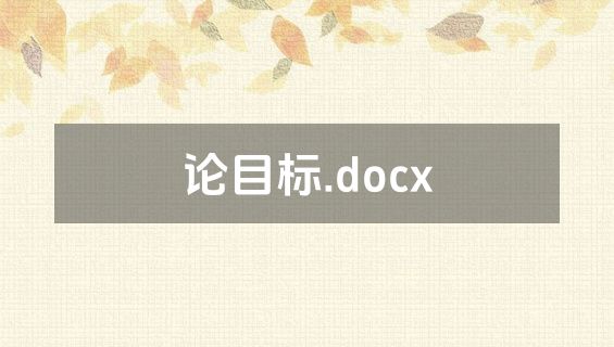 论目标.docx