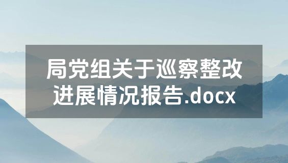局党组关于巡察整改进展情况报告.docx