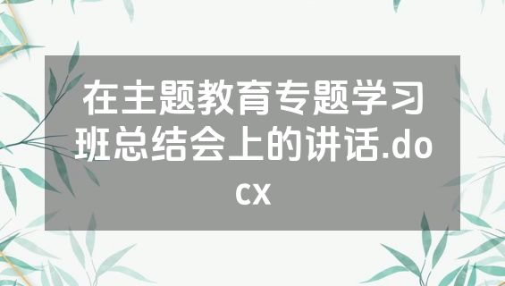在主题教育专题学习班总结会上的讲话.docx