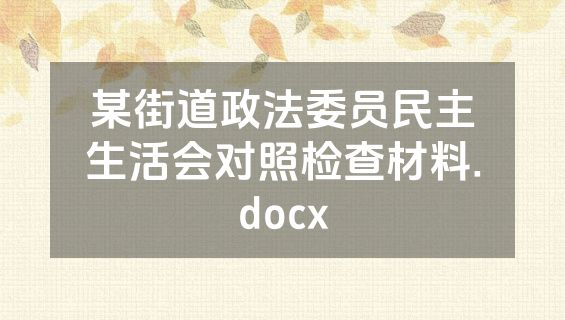 某街道政法委员民主生活会对照检查材料.docx