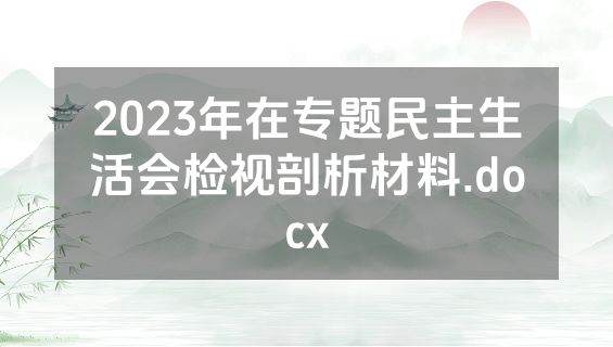 2023年在专题民主生活会检视剖析材料.docx