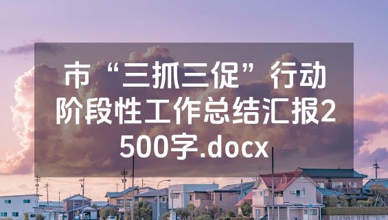 市“三抓三促”行动阶段性工作总结汇报2500字.docx