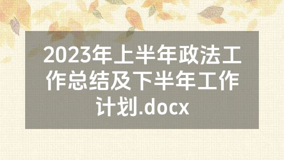 2023年上半年政法工作总结及下半年工作计划.docx