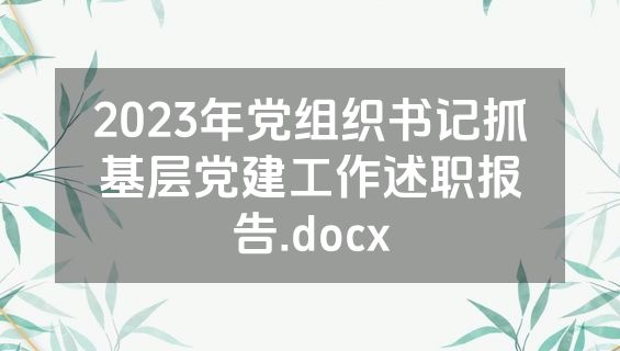 2023年党组织书记抓基层党建工作述职报告.docx