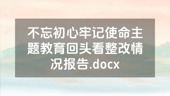 不忘初心牢记使命主题教育回头看整改情况报告.docx