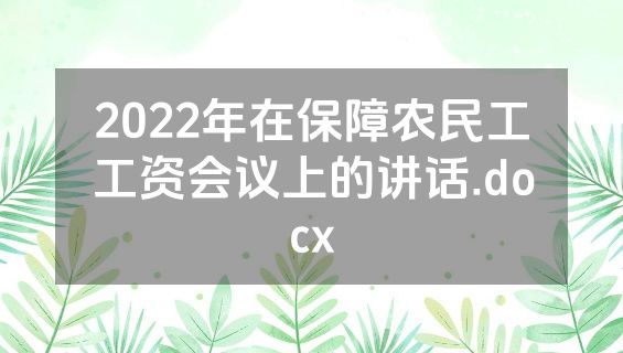 2022年在保障农民工工资会议上的讲话.docx