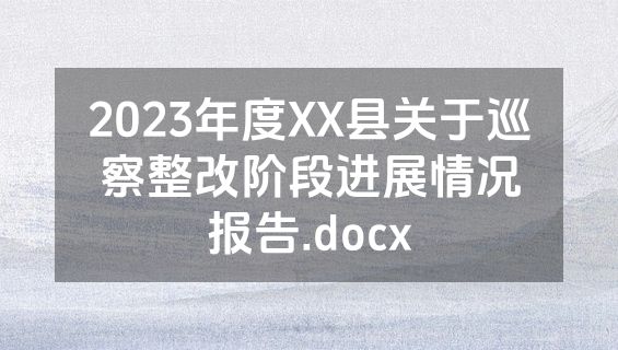 2023年度XX县关于巡察整改阶段进展情况报告.docx