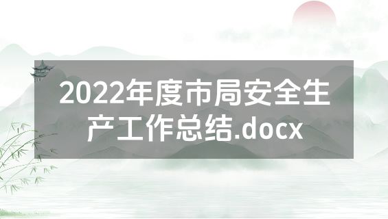 2022年度市局安全生产工作总结.docx