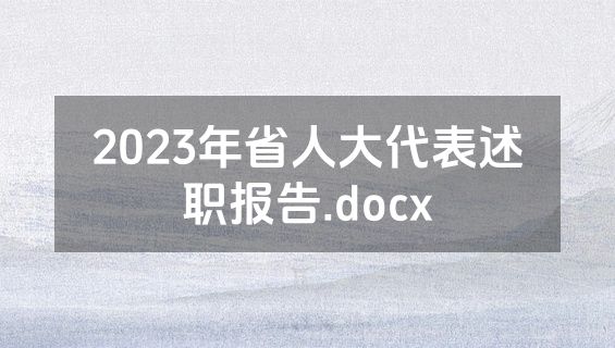 2023年省人大代表述职报告.docx