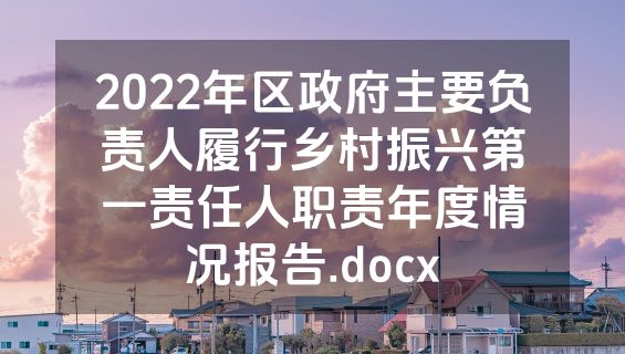 2022年区政府主要负责人履行乡村振兴第一责任人职责年度情况报告.docx
