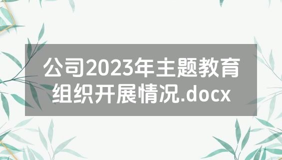 公司2023年主题教育组织开展情况.docx