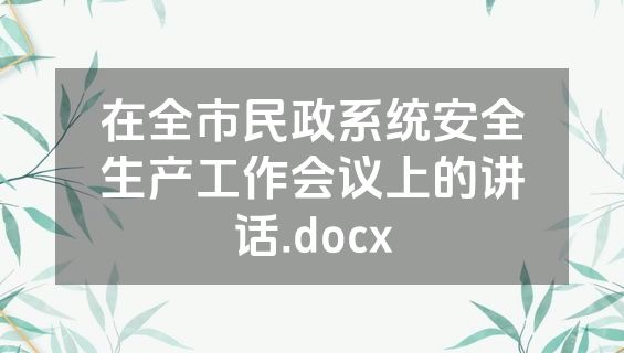 在全市民政系统安全生产工作会议上的讲话.docx