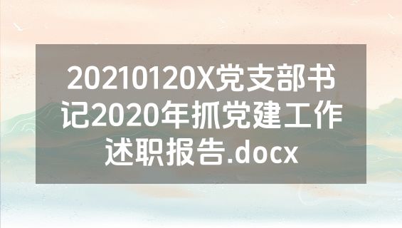 20210120X党支部书记2020年抓党建工作述职报告.docx