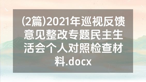 (2篇)2021年巡视反馈意见整改专题民主生活会个人对照检查材料.docx