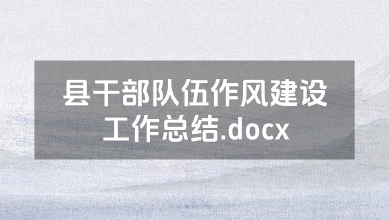 县干部队伍作风建设工作总结.docx