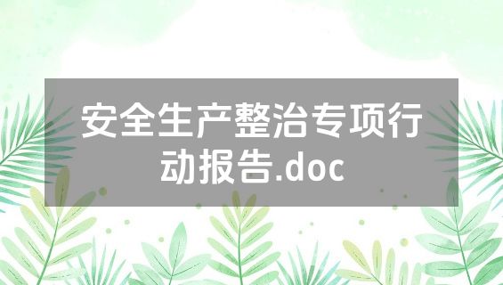 安全生产整治专项行动报告.doc