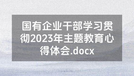 国有企业干部学习贯彻2023年主题教育心得体会.docx