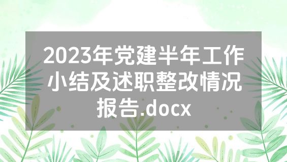 2023年党建半年工作小结及述职整改情况报告.docx