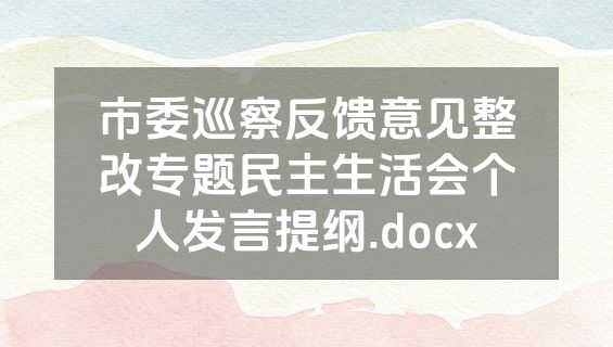 市委巡察反馈意见整改专题民主生活会个人发言提纲.docx
