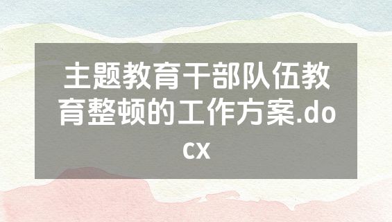 主题教育干部队伍教育整顿的工作方案.docx