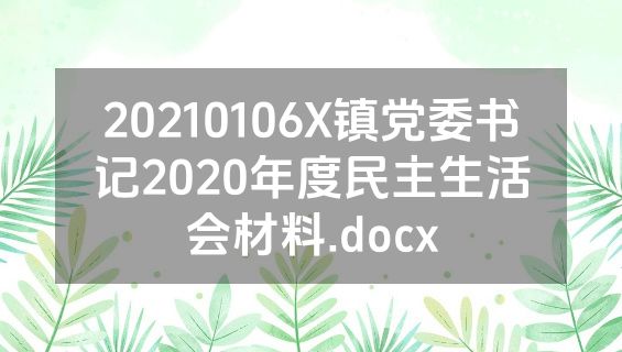 20210106X镇党委书记2020年度民主生活会材料.docx