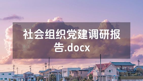 社会组织党建调研报告.docx