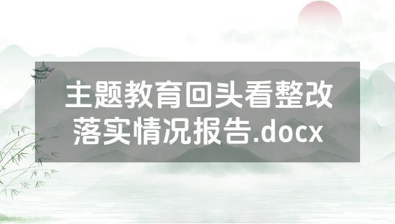 主题教育回头看整改落实情况报告.docx
