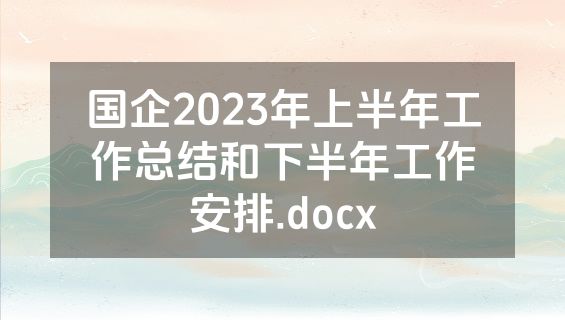 国企2023年上半年工作总结和下半年工作安排.docx