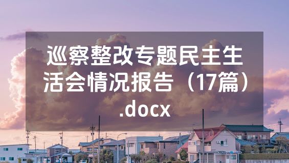 巡察整改专题民主生活会情况报告（17篇）.docx