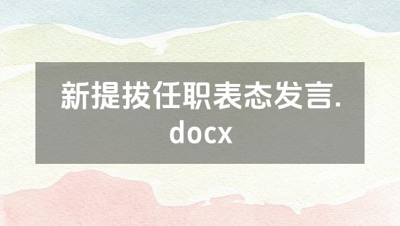 新提拔任职表态发言.docx