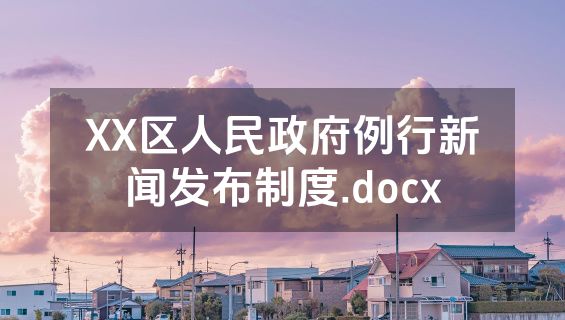 XX区人民政府例行新闻发布制度.docx
