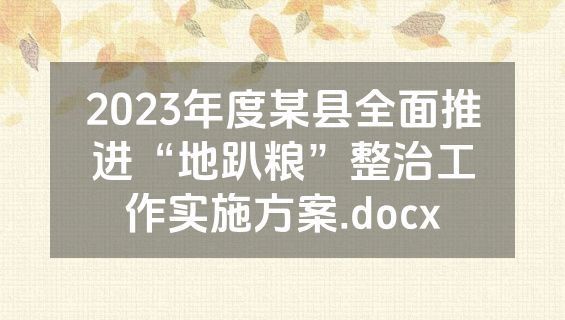 2023年度某县全面推进“地趴粮”整治工作实施方案.docx