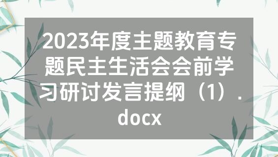 2023年度主题教育专题民主生活会会前学习研讨发言提纲（1）.docx