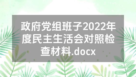 政府党组班子2022年度民主生活会对照检查材料.docx