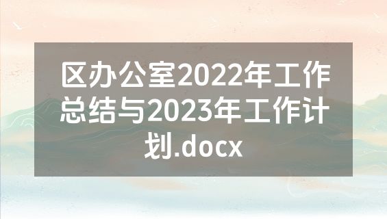 区办公室2022年工作总结与2023年工作计划.docx
