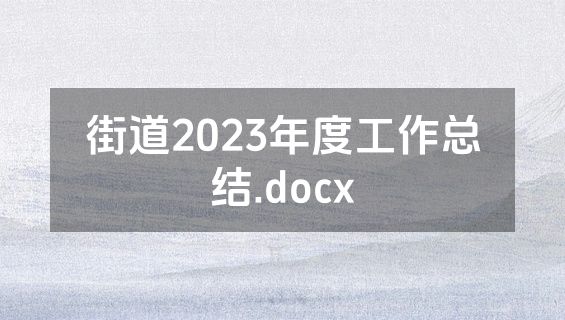 街道2023年度工作总结.docx