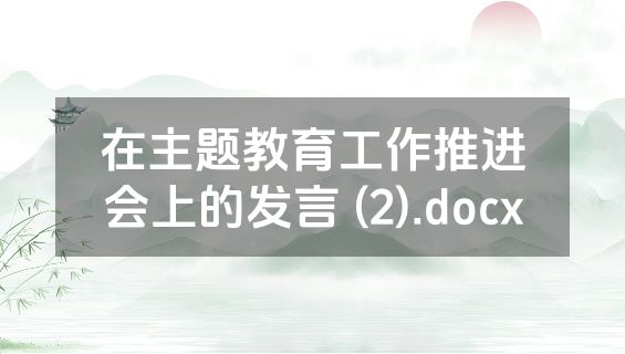 在主题教育工作推进会上的发言 (2).docx