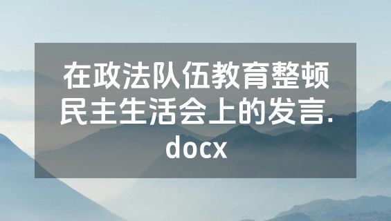 在政法队伍教育整顿民主生活会上的发言.docx