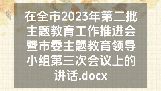 在全市2023年第二批主题教育工作推进会暨市委主题教育领导小组第三次会议上的讲话.docx