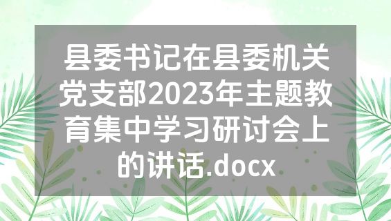县委书记在县委机关党支部2023年主题教育集中学习研讨会上的讲话.docx