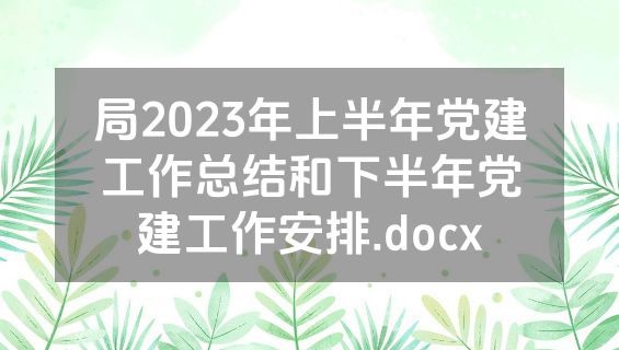 局2023年上半年党建工作总结和下半年党建工作安排.docx