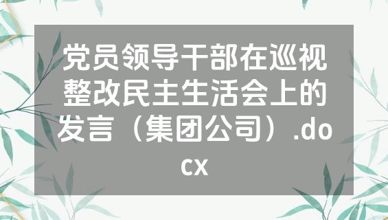 党员领导干部在巡视整改民主生活会上的发言（集团公司）.docx