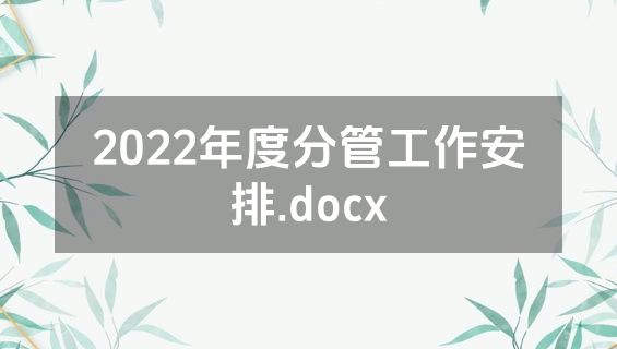 2022年度分管工作安排.docx
