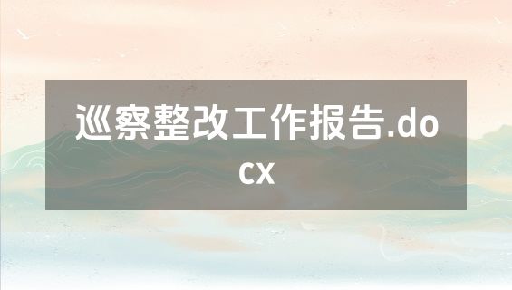 巡察整改工作报告.docx
